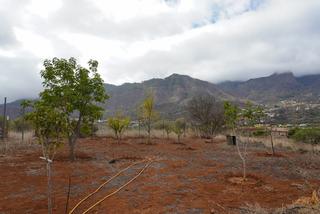 Masía en Valsequillo de Gran Canaria. Terreno rústico con casita de madera y multitud de árboles fruta