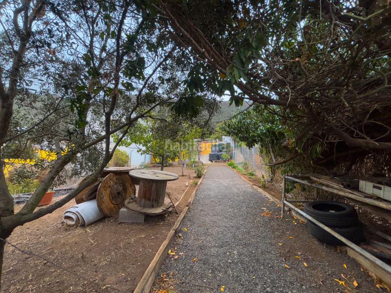 Foto 048b1c9b-2767-47d4-95dd-487e7a3260a4. Casale con camino parcheggio in Valsequillo de Gran Canaria