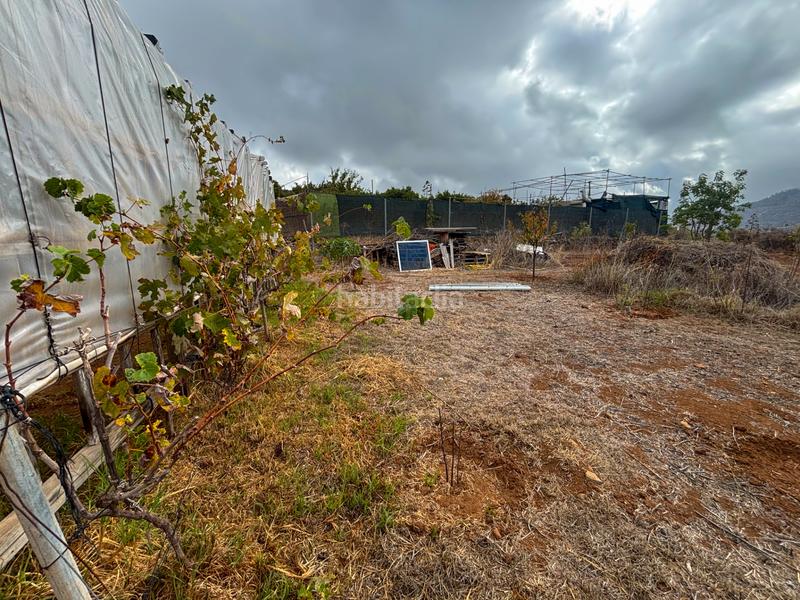 Foto 588b7b26-56b5-422e-b9da-05b838b4d3e1. Casale con camino parcheggio in Valsequillo de Gran Canaria