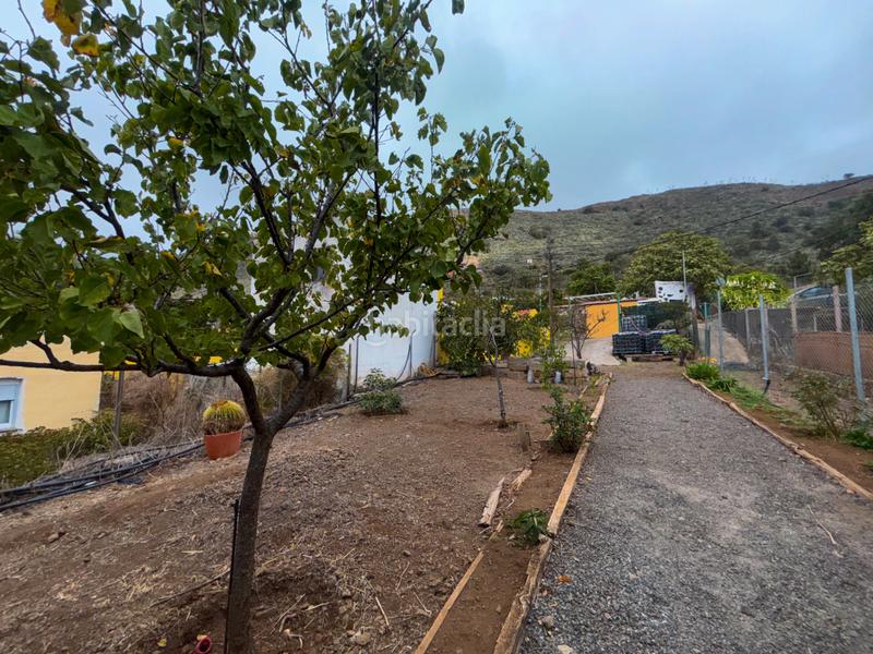 Foto 84241fa4-6cd4-4482-b6b6-3a8822a43157. Casale con camino parcheggio in Valsequillo de Gran Canaria