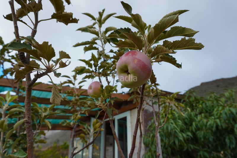 Foto c79208f8-20d9-48ad-9a12-2890e5000511. Casale con camino parcheggio in Valsequillo de Gran Canaria