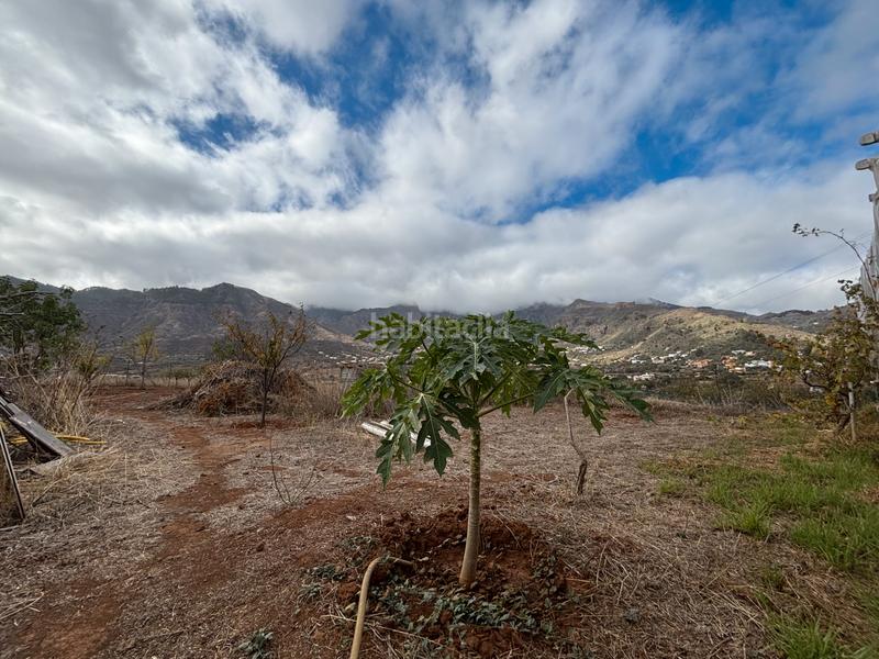 Foto e07525da-da40-4a94-b4b5-d9dda6d6afad. Casale con camino parcheggio in Valsequillo de Gran Canaria
