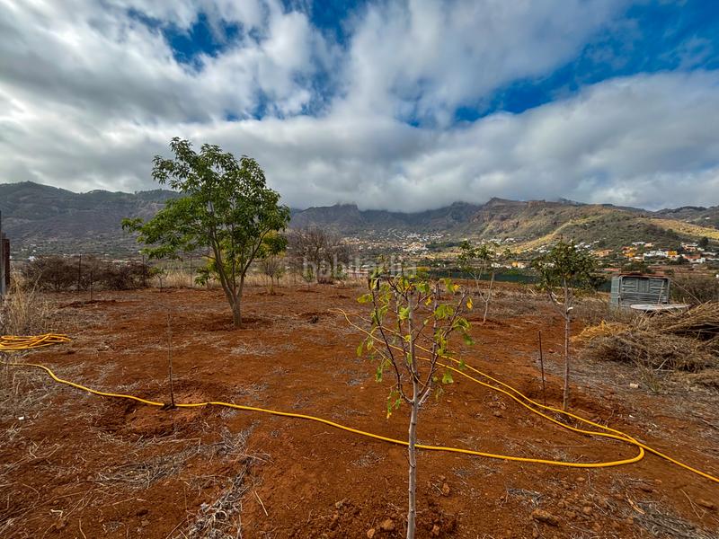 Foto fd0026e3-c47e-4ada-9876-c614de544e25. Casale con camino parcheggio in Valsequillo de Gran Canaria
