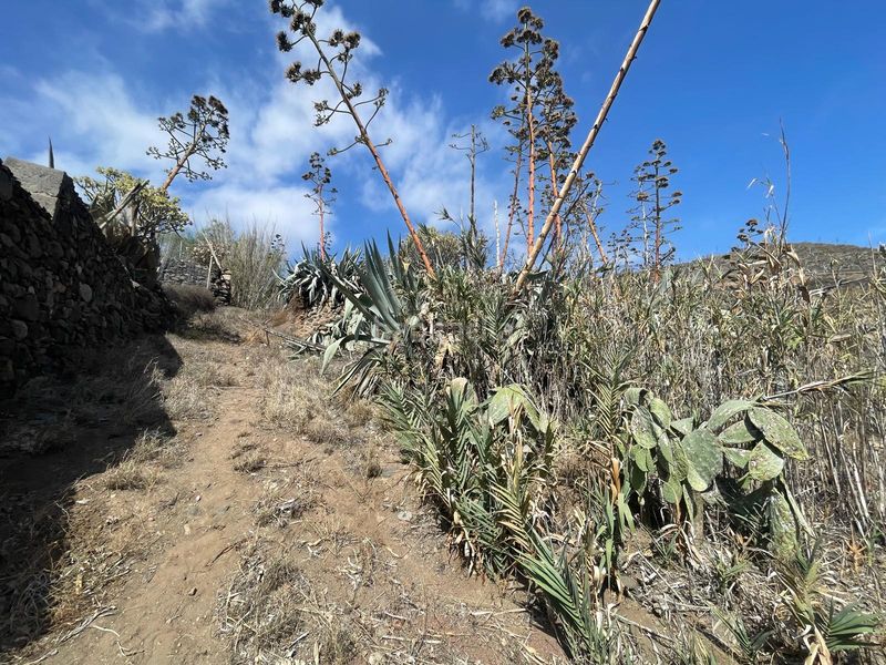 Foto b6584ae3-0012-4496-9825-1343d34fec84. Finca rústica a Valsequillo de Gran Canaria