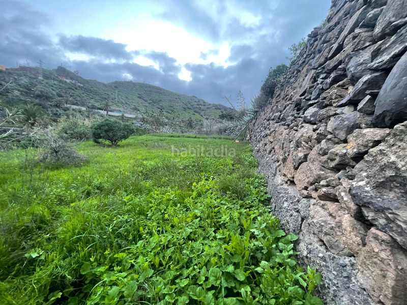 Foto bd41421a-94ce-4da1-ac4a-4f7fc43bc91e. Finca rústica a Valsequillo de Gran Canaria