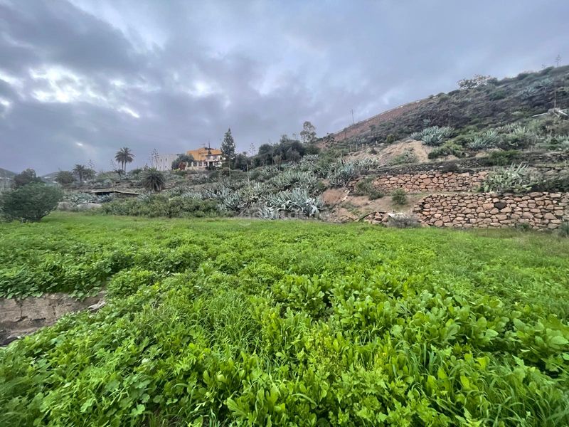 Foto c7682ba5-98d8-4ece-90a8-57a749e5945a. Finca rústica a Valsequillo de Gran Canaria