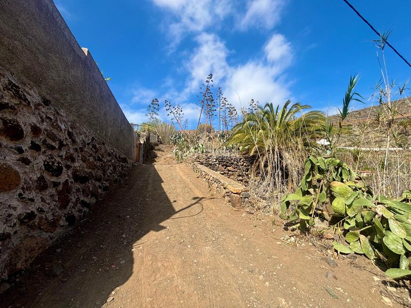Foto e75aa6a0-1063-4046-a286-c7fd671a0303. Finca rústica a Valsequillo de Gran Canaria