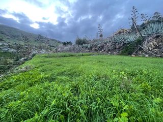 Landgut en Valsequillo de Gran Canaria. Un lugar para desconectar, invertir y disfrutar: terreno de 5.00