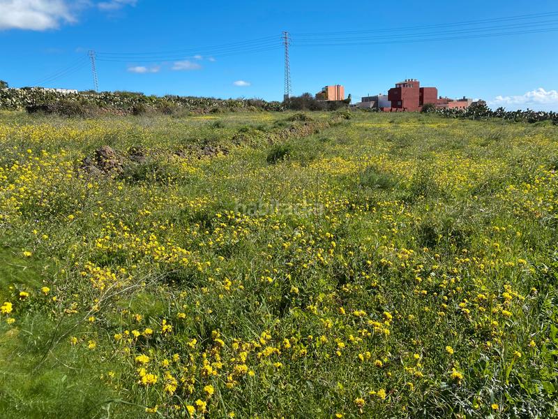 Foto a4c8ce58-e35b-4699-8d9a-2c315647b524. Terreno residencial terreno, urbanizable, inversión en San Cristóbal de La Laguna