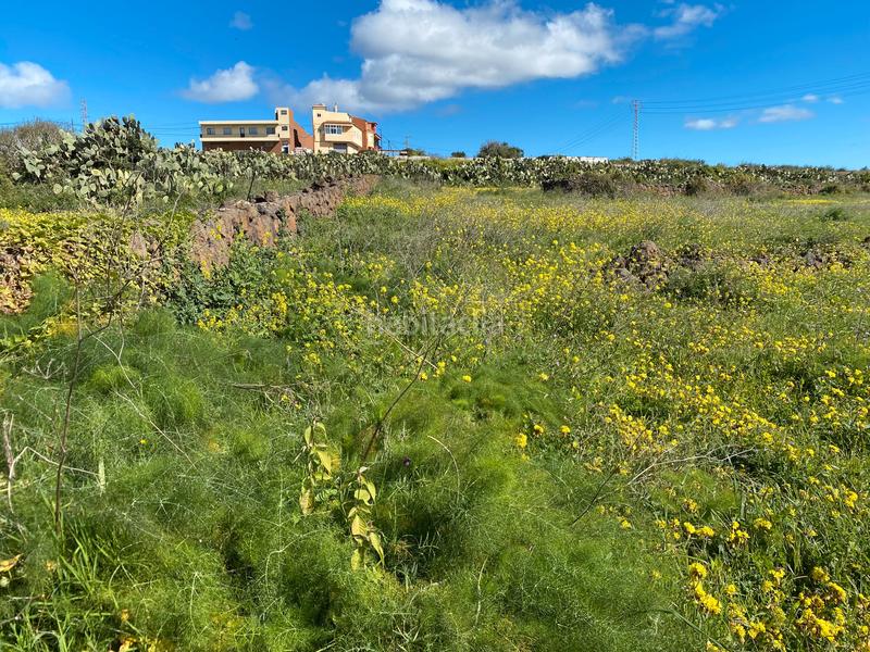 Foto c0bb1cf5-7345-4d8b-beed-ddfe0de63988. Terreno residencial terreno, urbanizable, inversión en San Cristóbal de La Laguna