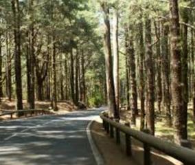 Finca rstica  Camino la rambla. Terreno rstico en san cristobal de la laguna