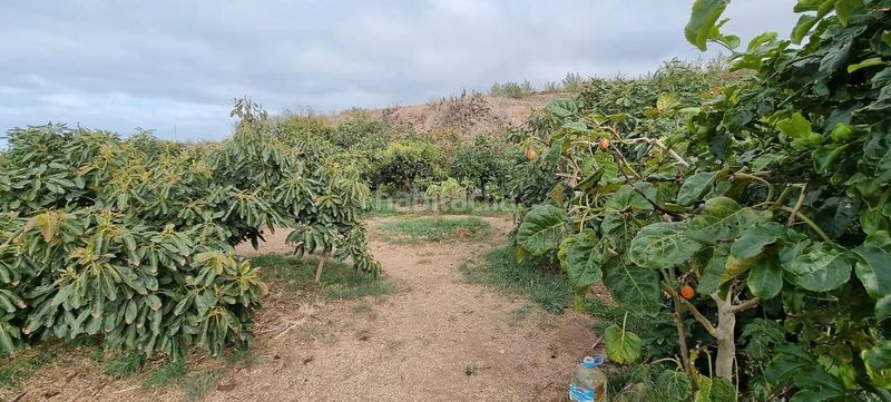 Foto 73fd00de-c6c2-47e4-bf2d-3d2709999214. Finca rústica en San Juan de la Rambla