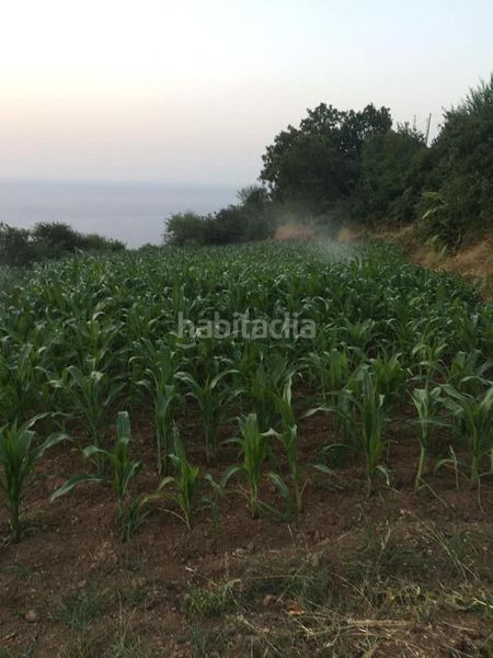 Foto 7bf494d1-2801-4c56-b9f9-1e92ae9353ef. Finca rústica en San Juan de la Rambla