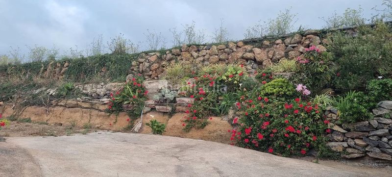 Foto 830ce058-5724-472b-a22e-c213498c2985. Finca rústica en San Juan de la Rambla
