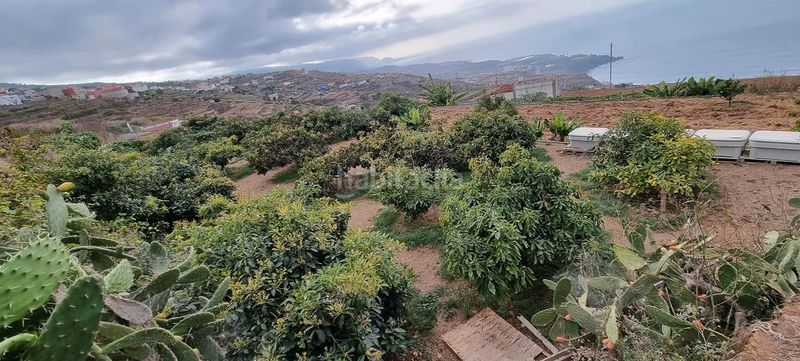 Foto b1479151-23fb-40ed-9f17-aa0dd2ee0458. Finca rústica en San Juan de la Rambla