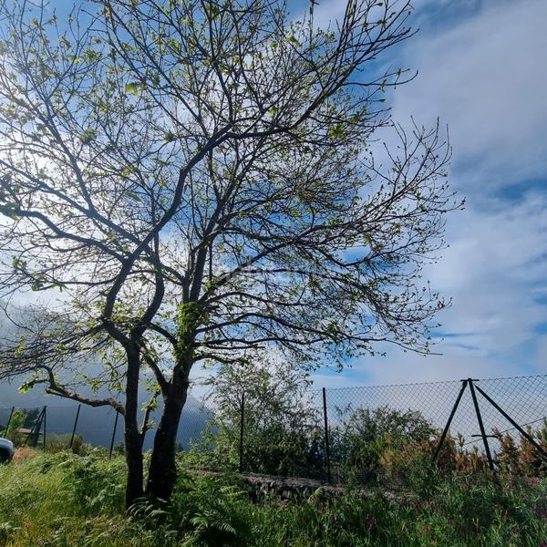 Foto db888700-1412-4536-92bb-3f012b424fa8. Haus mit heizung parking in Palo Blanco Realejos (Los)