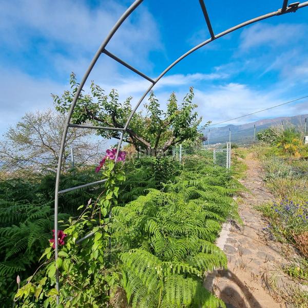 Foto fe5fdc64-dd16-4966-a703-3a90a8ae5ce9. Haus mit heizung parking in Palo Blanco Realejos (Los)