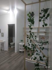 Lloguer Loft a Guancha (La). Bonito loft la guancha