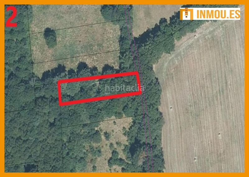 Foto 0df3ba84-0932-4034-9c00-d25457f5a731. Finca rústica a Maceda