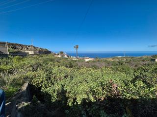 Country house in La Vega - El Amparo - Cueva del Viento. Varias casas viejas  y establos para animales para reformar