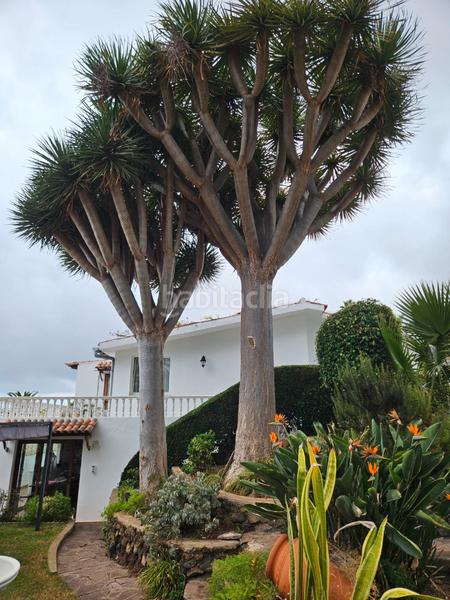 Foto 5a78a15d-459a-40bc-934c-47eaf552011c. Chalet dans calle doctor rodriguez vivas 9 dans Centro Orotava (La)