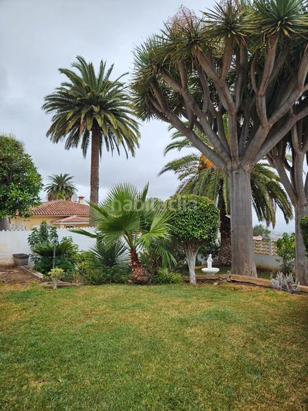 Foto ad5581d4-f460-4540-b0bd-e4642fca8a7e. Chalet dans calle doctor rodriguez vivas 9 dans Centro Orotava (La)