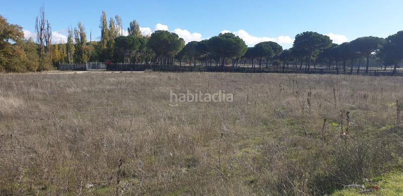 Foto 1262bf43-c7b4-4985-966d-ba999e94b633. Wohngrundstück in Aldeamayor de San Martín