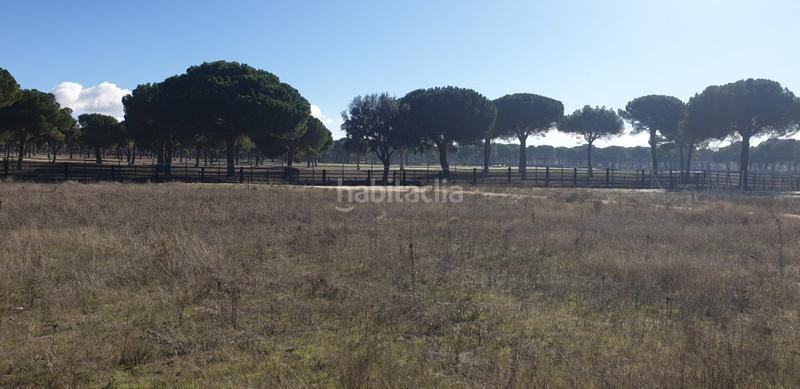 Foto 17e30171-2f2f-4393-bb0c-d1f2b6b1ebcc. Wohngrundstück in Aldeamayor de San Martín