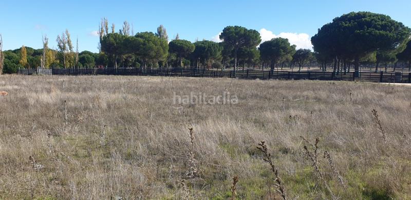 Foto 33349543-f0e1-433c-ab84-783c3e783ca6. Wohngrundstück in Aldeamayor de San Martín