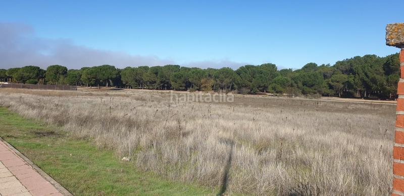 Foto 54308b6d-38f9-400c-a8b8-23c579a4ed0d. Wohngrundstück in Aldeamayor de San Martín