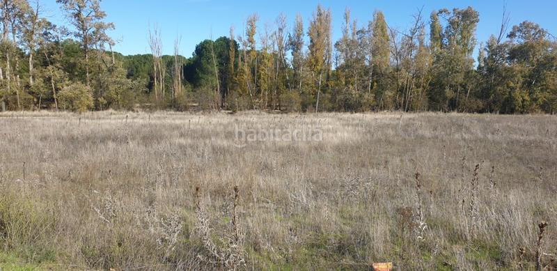 Foto 696f1537-b8db-44a8-9553-0cb707b55809. Wohngrundstück in Aldeamayor de San Martín