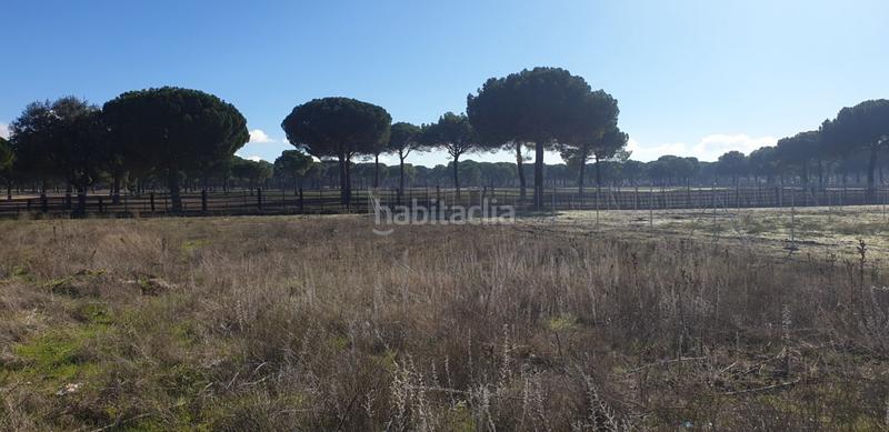 Foto 75131054-b297-4745-89cb-4026726cf6b5. Wohngrundstück in Aldeamayor de San Martín