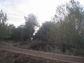 Finca rústica a Pelabravo. Urbis te ofrece terreno rústico en venta en nuevo naharros, pela