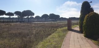 Terreny residencial a Aldeamayor de San Martín. Urbis te ofrece parcelas urbanas en aldeamayor de san martín, va