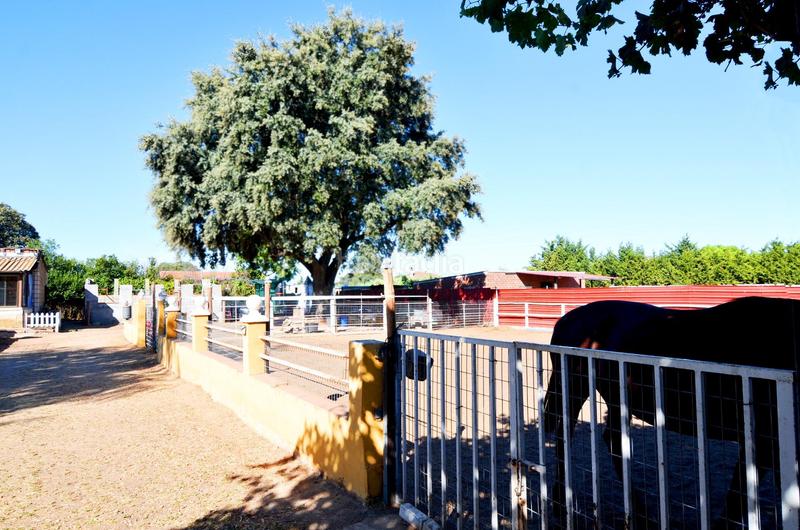 Foto ac0b4100-1e2f-4f3d-bc2e-5f39f2f23674. Maison avec chauffage dans Calvarrasa de Arriba