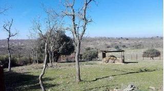 Finca rústica a Herguijuela de Ciudad Rodrigo. Urbis te ofrece un terreno en venta en herguijuela de ciudad rod