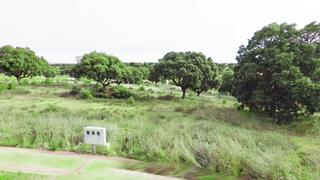 Terreny residencial a Carrascal de Barregas. Urbis te ofrece una parcela en venta en urbanización oasis golf,
