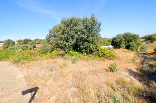 Terreny residencial a Carrascal de Barregas. Urbis te ofrece una parcela en venta en urbanización oasis golf,
