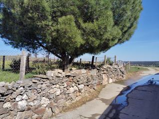 Masia a Pedrosillo de los Aires. Urbis te ofrece casa con una parcela de 8000m2 en venta en pedro