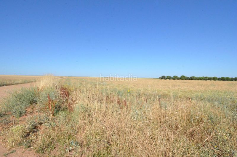 Foto b8a9aaf3-22b7-475c-bc71-cc3ec6185137. Finca rústica a Calzada de Valdunciel