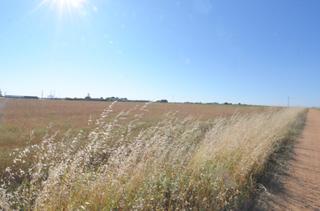 Finca rústica a Calzada de Valdunciel. Urbis te ofrece un terreno en venta en castellanos de villiquera