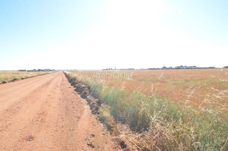 Foto 0aa1e19b-aa3c-416b-9b7f-dec42726ba17. Finca rústica a Calzada de Valdunciel