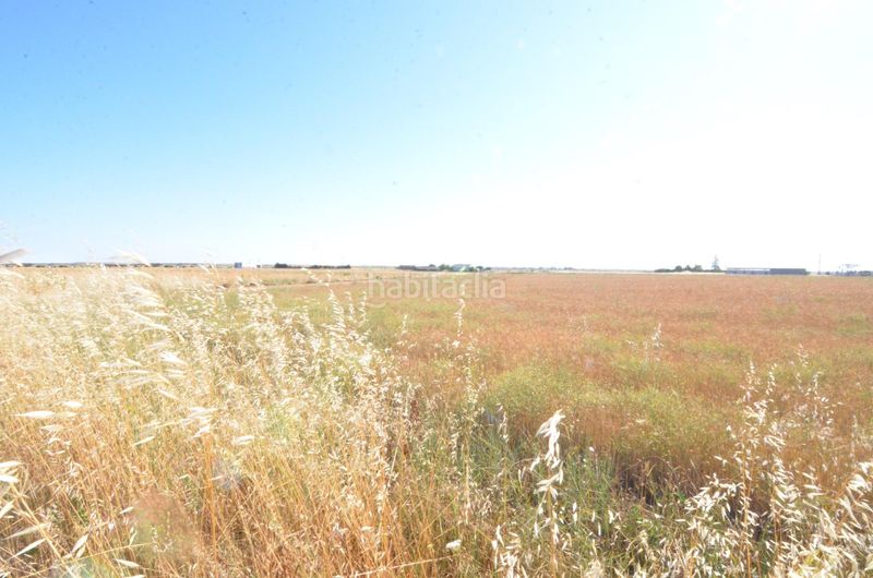 Foto c5beeffb-cc39-410d-832e-352383810ac8. Finca rústica a Calzada de Valdunciel