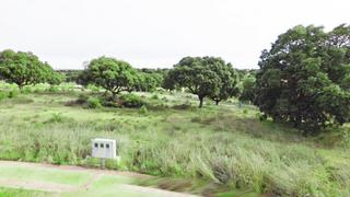 Terreny residencial a Carrascal de Barregas. Urbis te ofrece una parcela en venta en urbanización oasis golf,