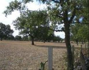 Rural plot in Villares de Yeltes. Urbis te ofrece una finca rústica en venta en villares de yeltes