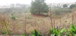 Terrain résidentiel à Boecillo. Urbis te ofrece unas parcelas en venta en boecillo, valladolid.