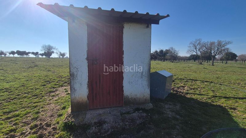 Foto 1c61a5f3-72de-4ef5-864b-a6d7ba4a8767. Finca rústica a Carrascal del Obispo