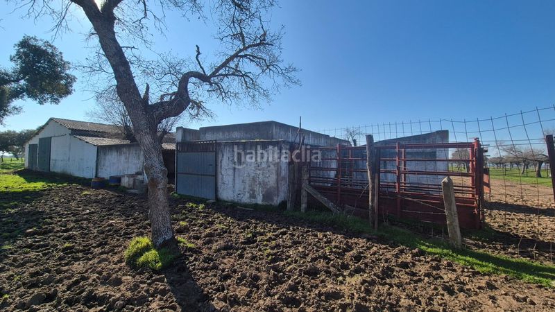 Foto 2cadbb3f-e217-412d-8350-d70ba51bd4ae. Finca rústica a Carrascal del Obispo