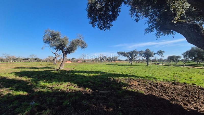 Foto 35f42582-e19e-46a2-aab5-a7772792838b. Finca rústica a Carrascal del Obispo