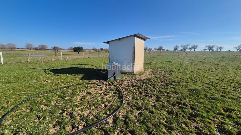 Foto 3a588359-3249-4963-88eb-1b6f86707243. Finca rústica a Carrascal del Obispo